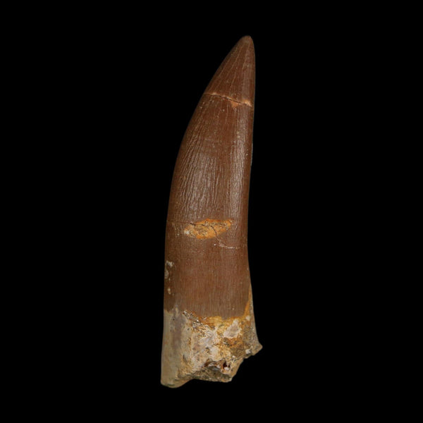 XL 2.2