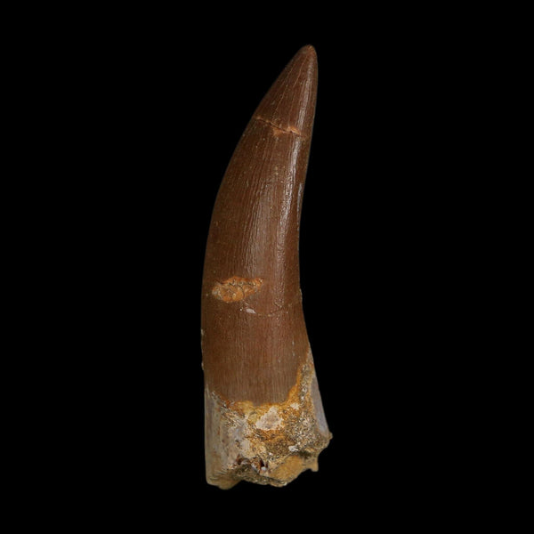 XL 2.2