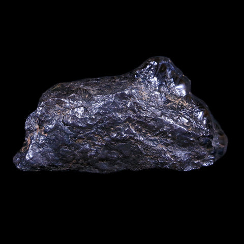2.1" Hematite Botryoidal Kidney Ore Rock Mineral Specimen Irhoud Mine, Morocco - Fossil Age Minerals