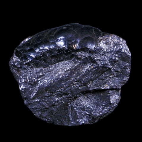 2.3" Hematite Botryoidal Kidney Ore Rock Mineral Specimen Irhoud Mine, Morocco - Fossil Age Minerals