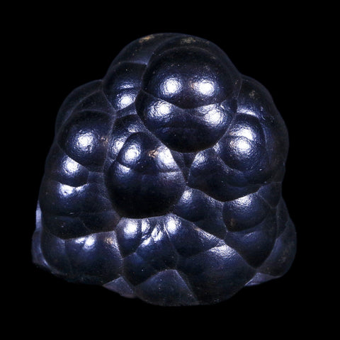 1.7" Hematite Botryoidal Kidney Ore Rock Mineral Specimen Irhoud Mine, Morocco - Fossil Age Minerals