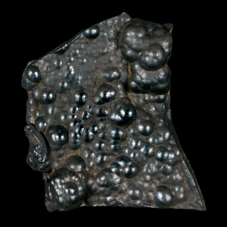 2.8" Hematite Botryoidal Kidney Ore Rock Mineral Specimen Irhoud Mine, Morocco