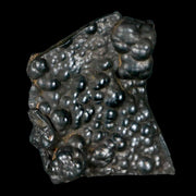 2.8" Hematite Botryoidal Kidney Ore Rock Mineral Specimen Irhoud Mine, Morocco