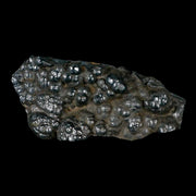 3.2" Hematite Botryoidal Kidney Ore Rock Mineral Specimen Irhoud Mine, Morocco