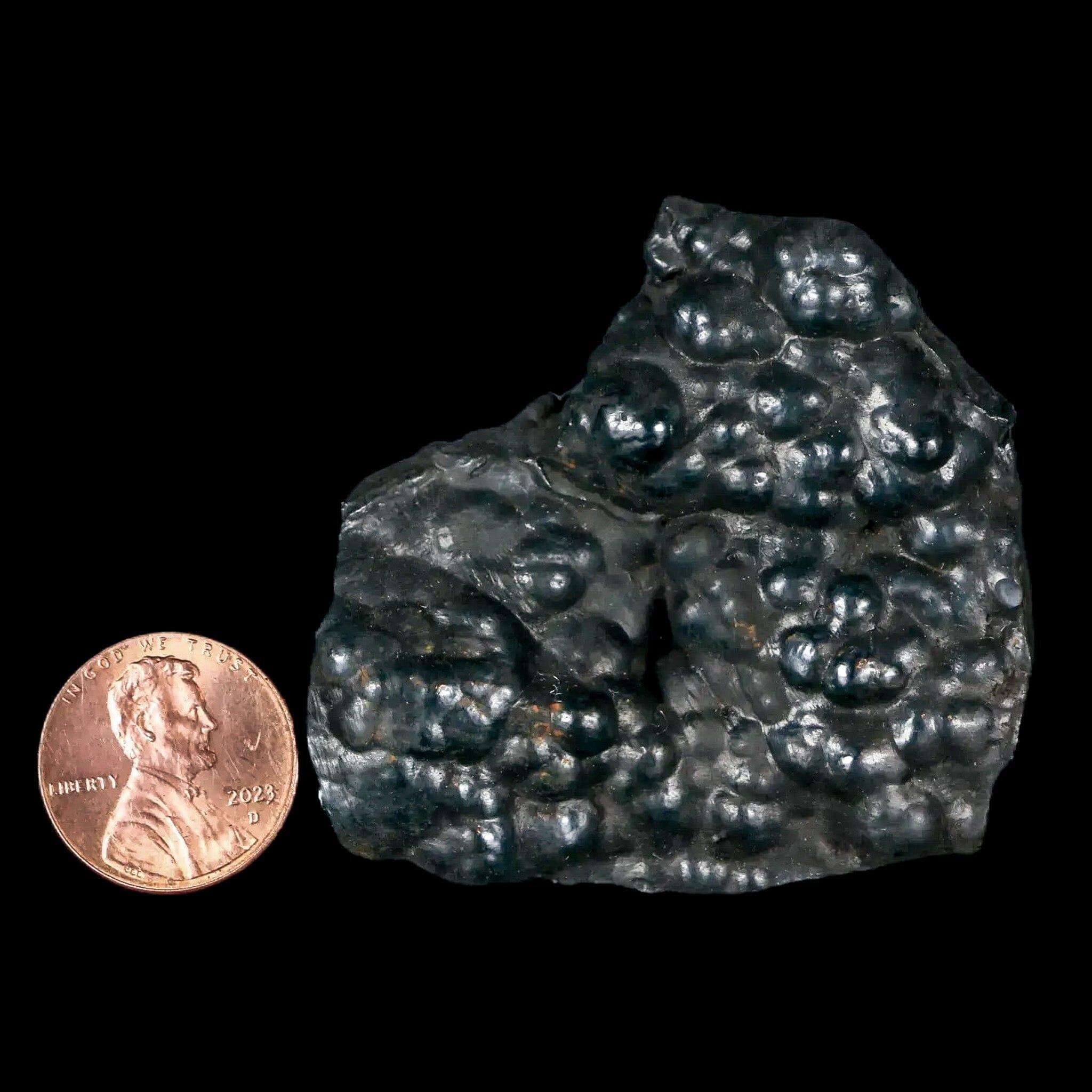 2.1" Hematite Botryoidal Kidney Ore Rock Mineral Specimen Irhoud Mine, Morocco - Fossil Age Minerals