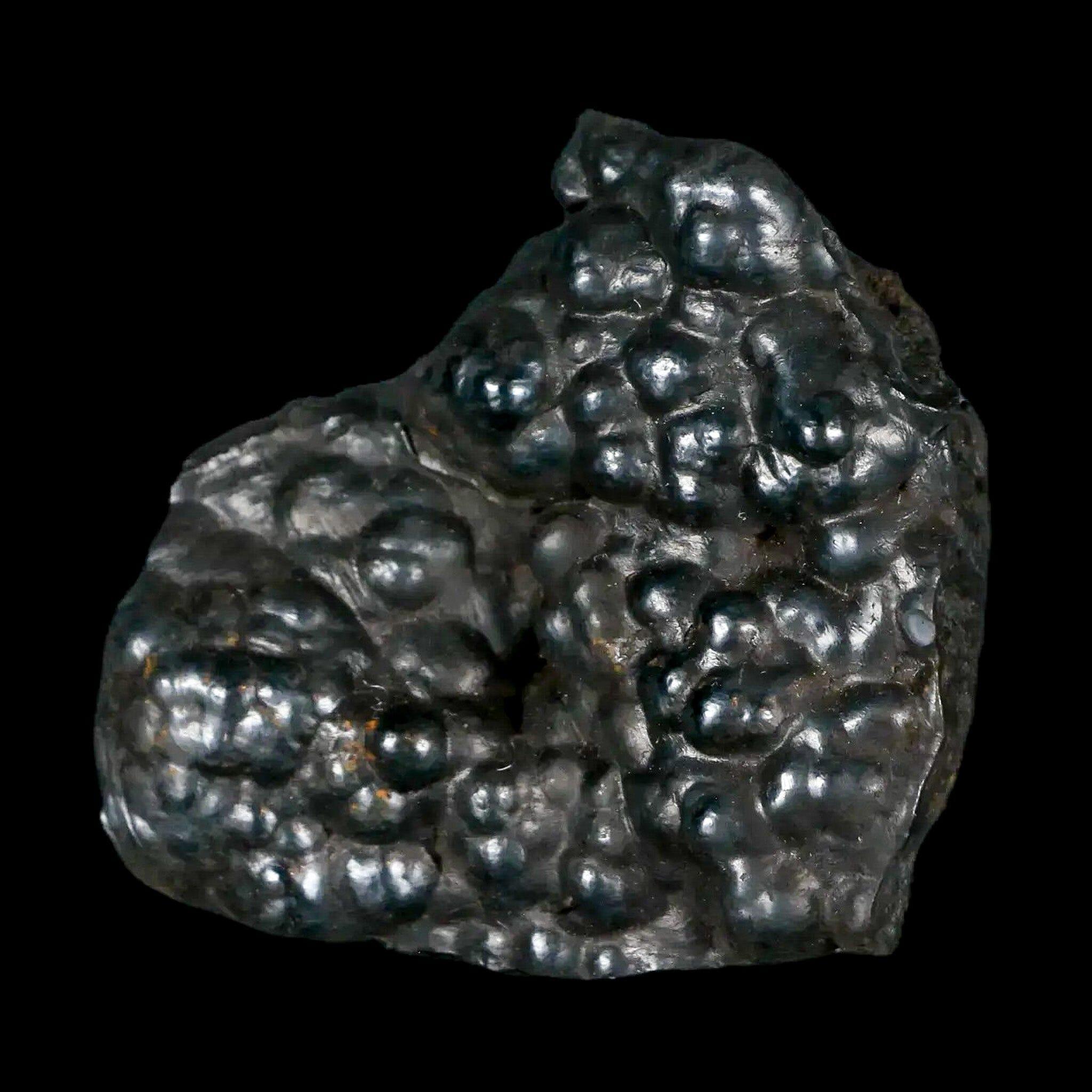 2.1" Hematite Botryoidal Kidney Ore Rock Mineral Specimen Irhoud Mine, Morocco - Fossil Age Minerals