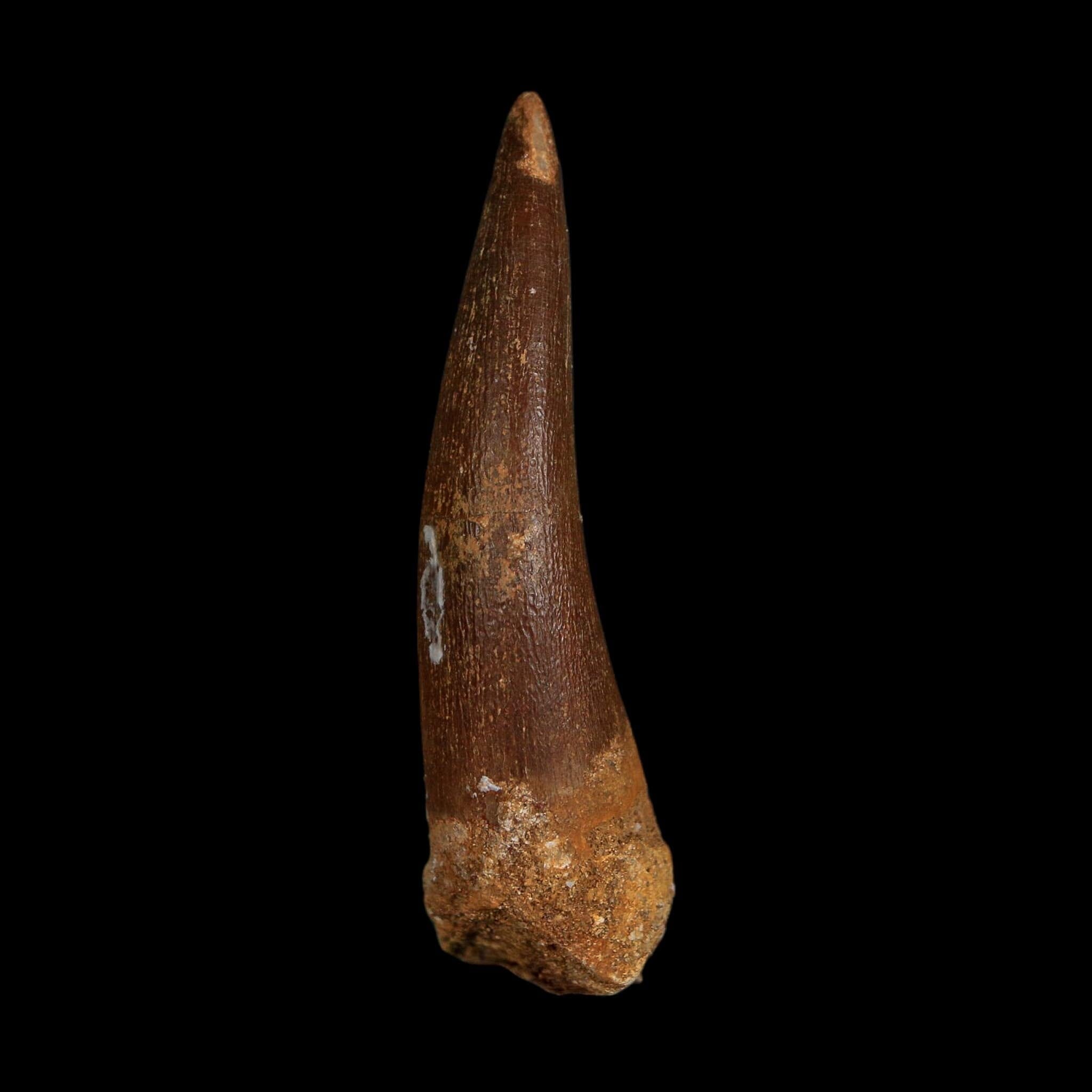 XL 2.1