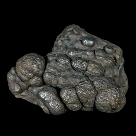 2.8" Hematite Botryoidal Kidney Ore Rock Mineral Specimen Irhoud Mine, Morocco