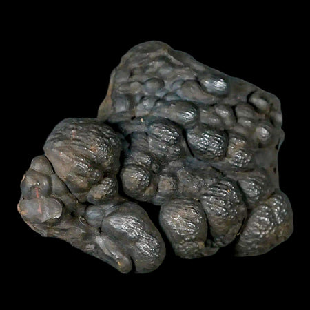 2.8" Hematite Botryoidal Kidney Ore Rock Mineral Specimen Irhoud Mine, Morocco