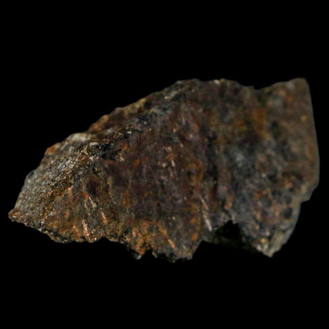 2" Stegosaurus Fossil Bone Morrison Formation Wyoming Jurassic Age Dinosaur COA - Fossil Age Minerals