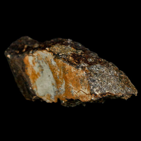 2" Stegosaurus Fossil Bone Morrison Formation Wyoming Jurassic Age Dinosaur COA - Fossil Age Minerals