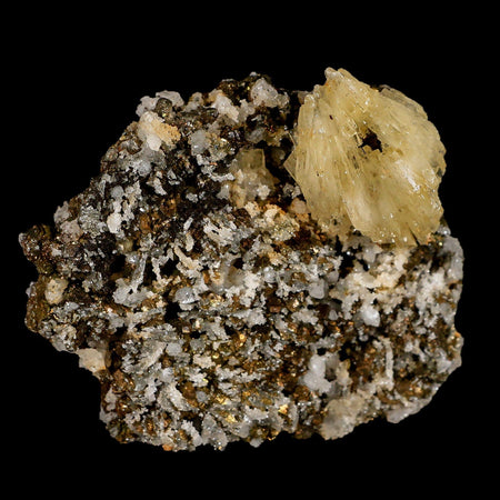 3.2" Barite Blades, Pyrite And Crystal Quartz Minerals Bou Nahas Mine Morocco