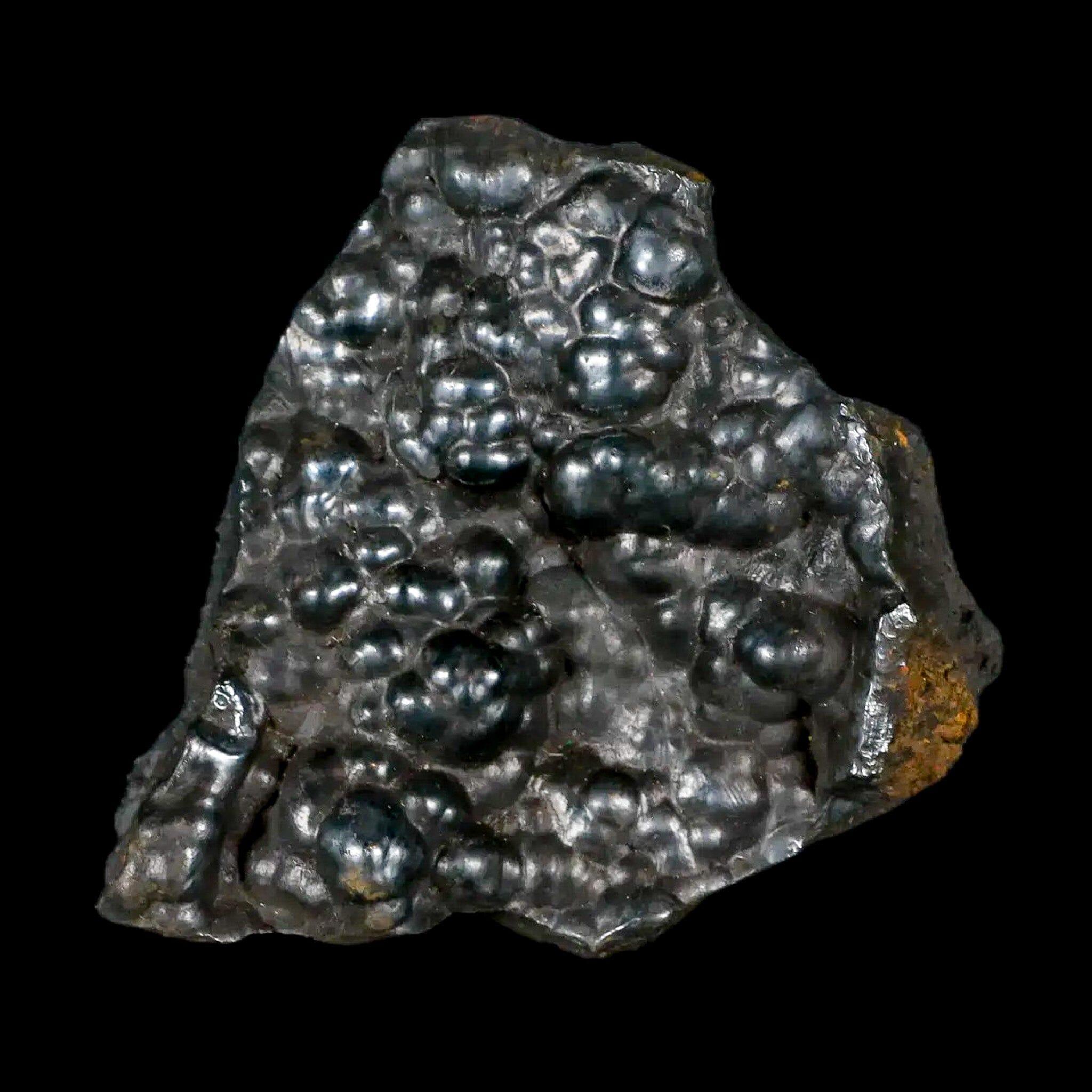 2.2" Hematite Botryoidal Kidney Ore Rock Mineral Specimen Irhoud Mine, Morocco - Fossil Age Minerals