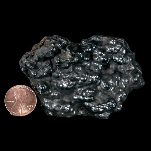 3" Hematite Botryoidal Kidney Ore Rock Mineral Specimen Irhoud Mine, Morocco - Fossil Age Minerals