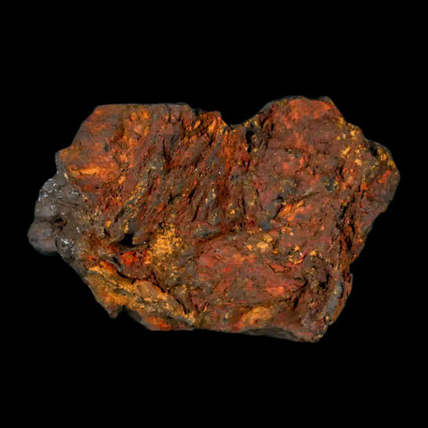 3" Hematite Botryoidal Kidney Ore Rock Mineral Specimen Irhoud Mine, Morocco - Fossil Age Minerals