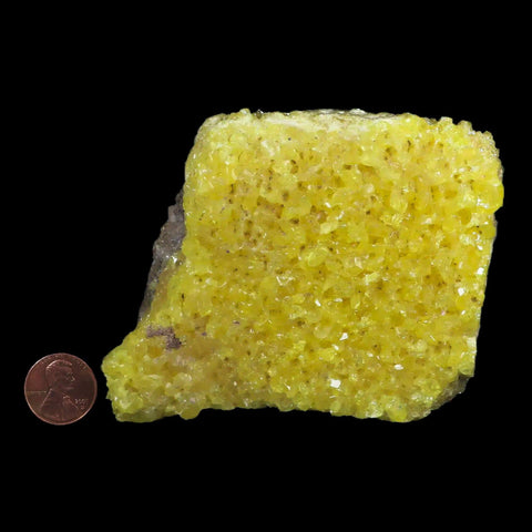 3.8" Rough Bright Yellow Sulfur Crystal Cluster On Matrix El Desierto Mine Bolivia - Fossil Age Minerals