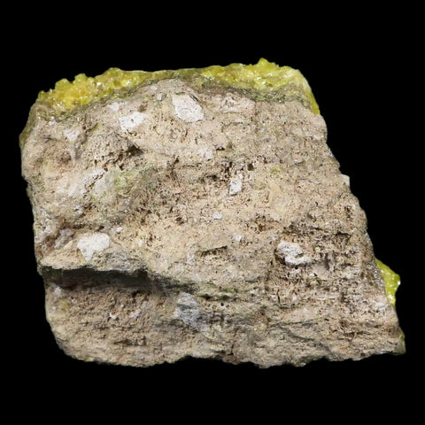 3.8" Rough Bright Yellow Sulfur Crystal Cluster On Matrix El Desierto Mine Bolivia - Fossil Age Minerals