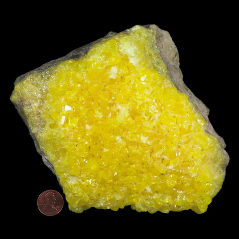 5.6" Rough Bright Yellow Sulfur Crystal Cluster On Matrix El Desierto Mine Bolivia - Fossil Age Minerals