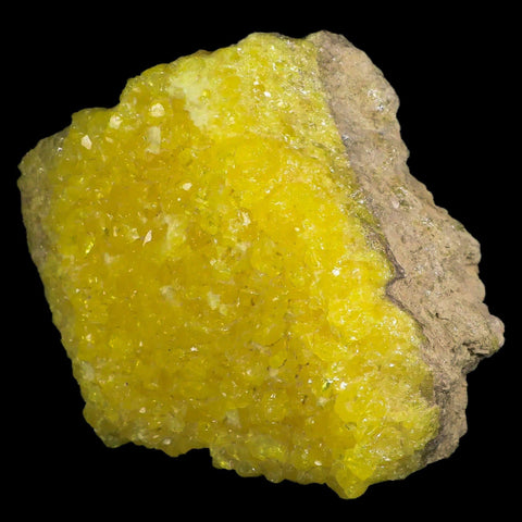 5.6" Rough Bright Yellow Sulfur Crystal Cluster On Matrix El Desierto Mine Bolivia - Fossil Age Minerals