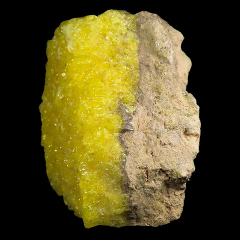 5.6" Rough Bright Yellow Sulfur Crystal Cluster On Matrix El Desierto Mine Bolivia - Fossil Age Minerals