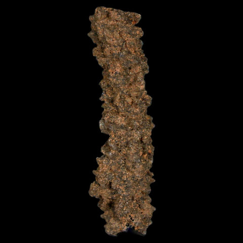 1.9" Fulgurite Petrified Lighting Strike Glass Sahara Desert Algeria - Fossil Age Minerals