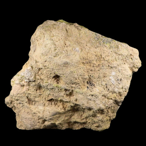 5.6" Rough Bright Yellow Sulfur Crystal Cluster On Matrix El Desierto Mine Bolivia - Fossil Age Minerals