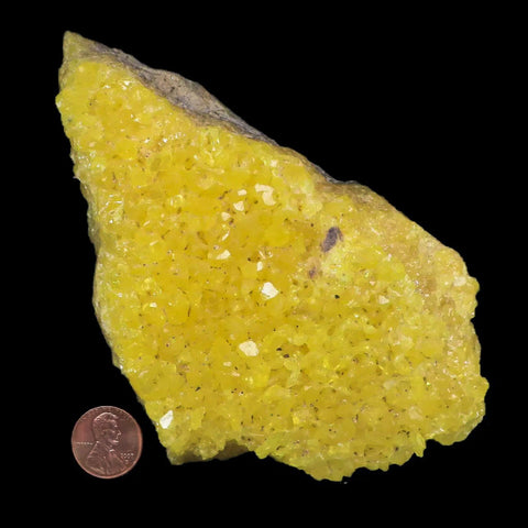 5.9" Rough Bright Yellow Sulfur Crystal Cluster On Matrix El Desierto Mine Bolivia - Fossil Age Minerals