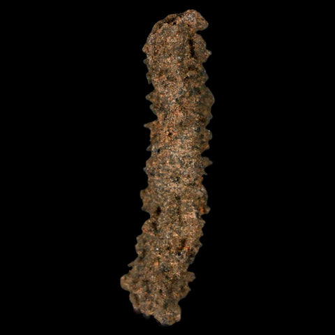 1.9" Fulgurite Petrified Lighting Strike Glass Sahara Desert Algeria - Fossil Age Minerals