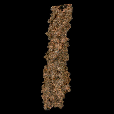 1.9" Fulgurite Petrified Lighting Strike Glass Sahara Desert Algeria - Fossil Age Minerals