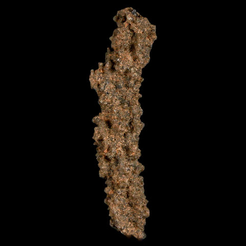 1.9" Fulgurite Petrified Lighting Strike Glass Sahara Desert Algeria - Fossil Age Minerals