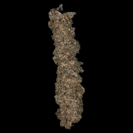 1.9" Fulgurite Petrified Lightning Strike Glass Sahara Desert Algeria