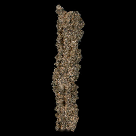 1.9" Fulgurite Petrified Lightning Strike Glass Sahara Desert Algeria - Fossil Age Minerals