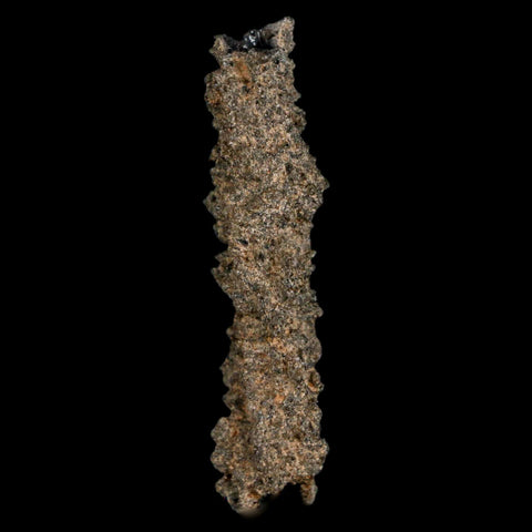1.9" Fulgurite Petrified Lightning Strike Glass Sahara Desert Algeria - Fossil Age Minerals