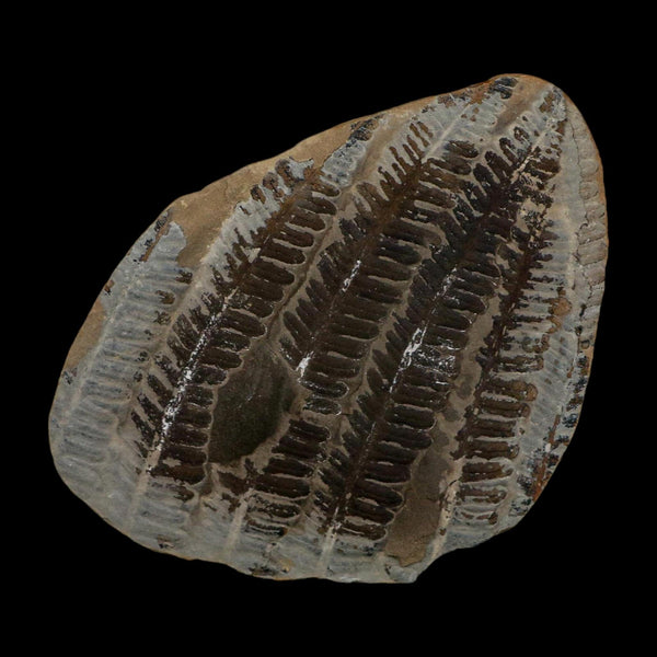 3.5