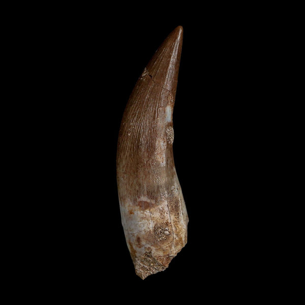 XL 2.3