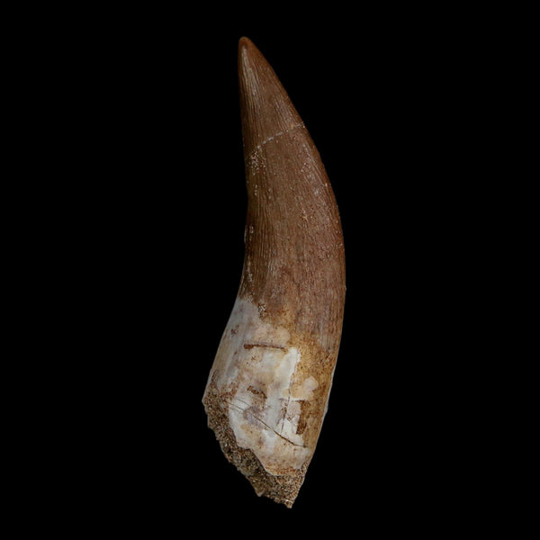 XL 2.3