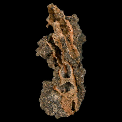1.6" Fulgurite Petrified Lighting Strike Glass Sahara Desert Algeria - Fossil Age Minerals