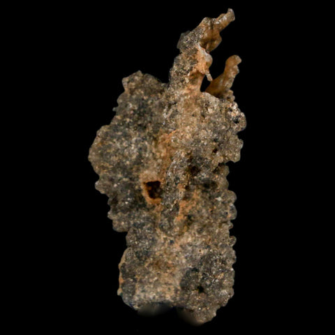 1.6" Fulgurite Petrified Lighting Strike Glass Sahara Desert Algeria - Fossil Age Minerals