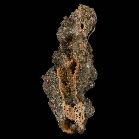 1.6" Fulgurite Petrified Lighting Strike Glass Sahara Desert Algeria - Fossil Age Minerals