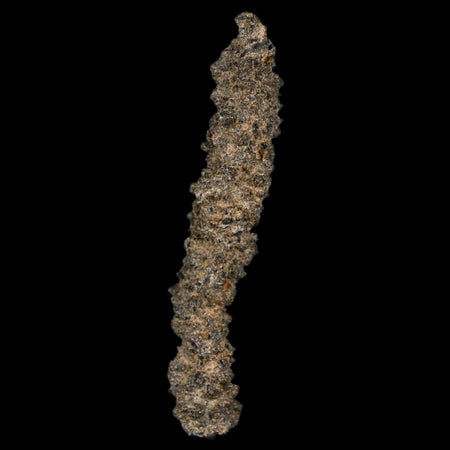 2.5" Fulgurite Petrified Lightning Strike Glass Sahara Desert Algeria