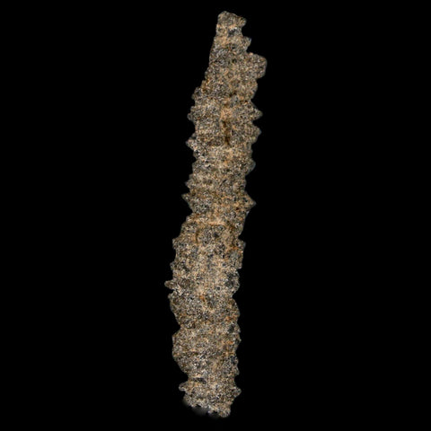2.5" Fulgurite Petrified Lightning Strike Glass Sahara Desert Algeria - Fossil Age Minerals