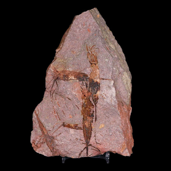 5.6
