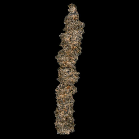 2.5" Fulgurite Petrified Lightning Strike Glass Sahara Desert Algeria - Fossil Age Minerals