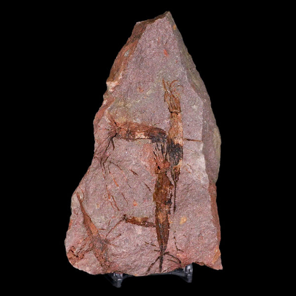 5.6