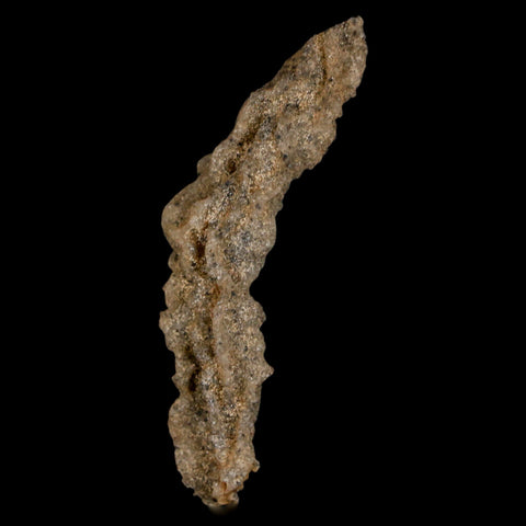2.9" Fulgurite Petrified Lighting Strike Glass Sahara Desert Algeria - Fossil Age Minerals