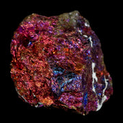 2.1" Chalcopyrite Bornite Brilliant Multicolored Peacock Ore Chihuahua Mexico