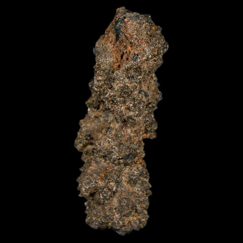 1.7" Fulgurite Petrified Lighting Strike Glass Sahara Desert Algeria - Fossil Age Minerals