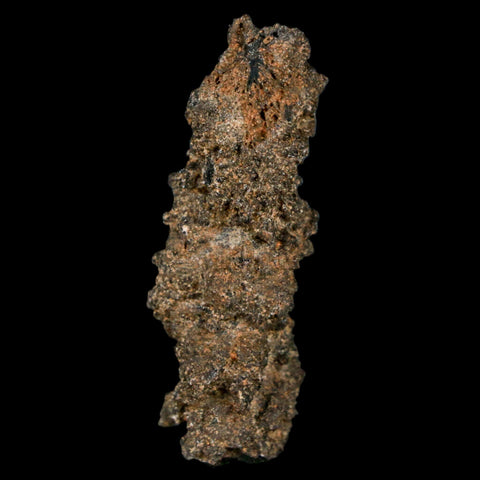 1.7" Fulgurite Petrified Lighting Strike Glass Sahara Desert Algeria - Fossil Age Minerals