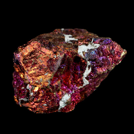 2.1" Chalcopyrite Bornite Brilliant Multicolored Peacock Ore Chihuahua Mexico