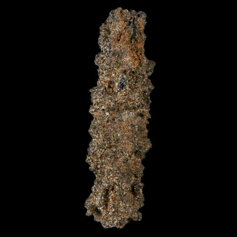 1.7" Fulgurite Petrified Lighting Strike Glass Sahara Desert Algeria - Fossil Age Minerals
